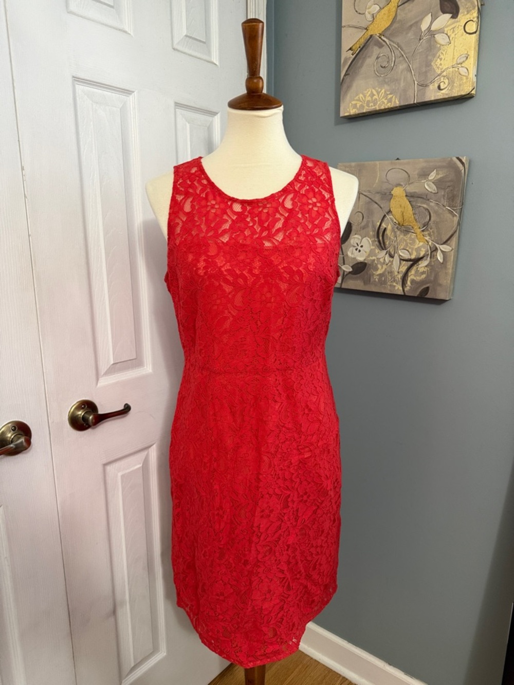 J. Crew Coral Lace Sleeveless Sheath Dress